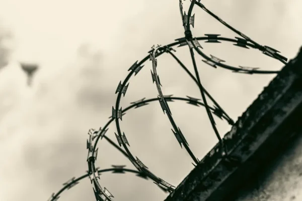 Razor Wire