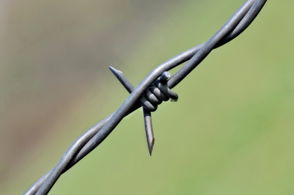 Barbed Wire - Image 2